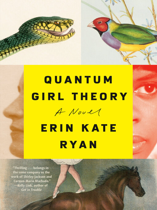 Title details for Quantum Girl Theory by Erin Kate Ryan - Wait list